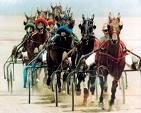 Horse Racing Partnerships